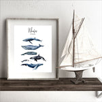 Watercolor Whales Poster